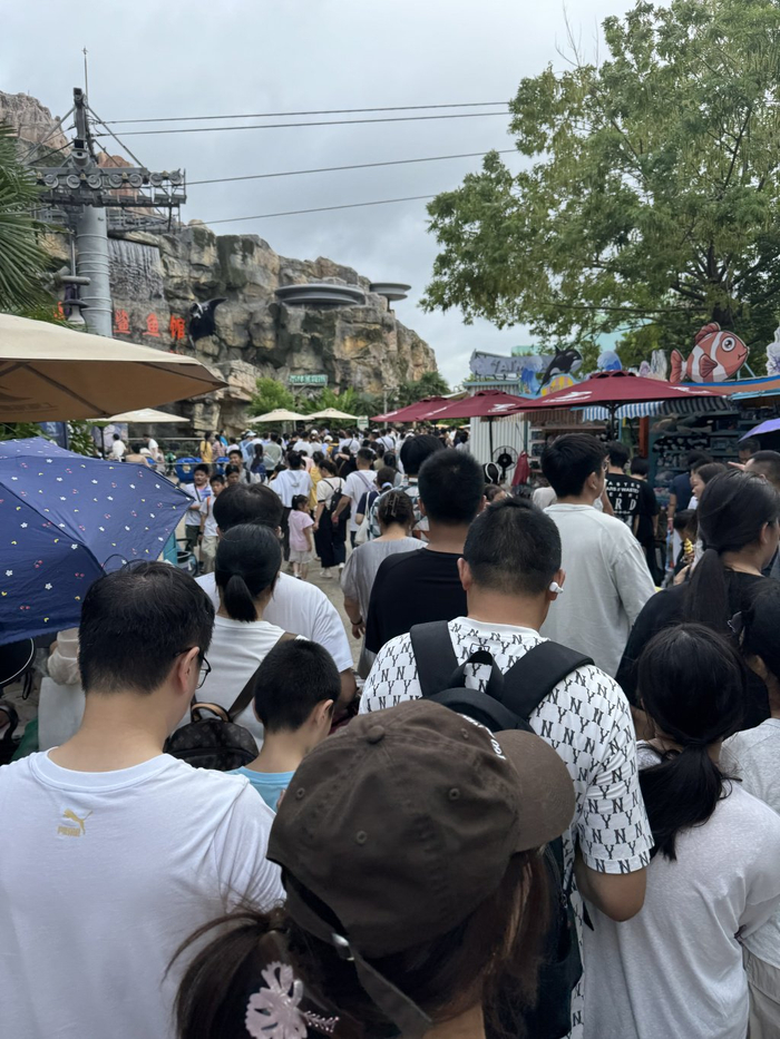　　上海海昌海洋公园内。