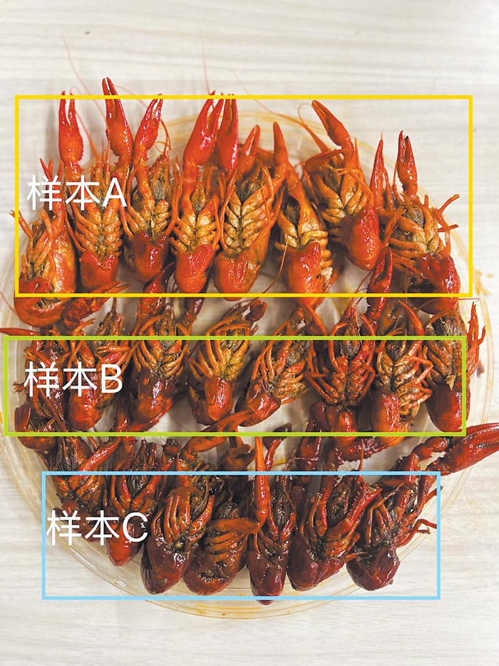洁净度不一的麻辣小龙虾，由上至下依次来自三十三年大排档、靓虾、沪上虾煌。 新京报记者 王思炀 摄