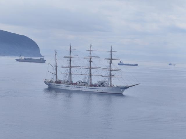 邮轮停靠的日本港口风景。 受访者供图