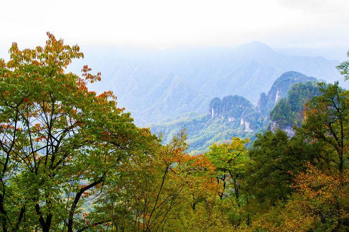 这是2024年10月24日拍摄的四川省巴中市南江县光雾山旅游景区秋景。新华社发（付海旭 摄）
