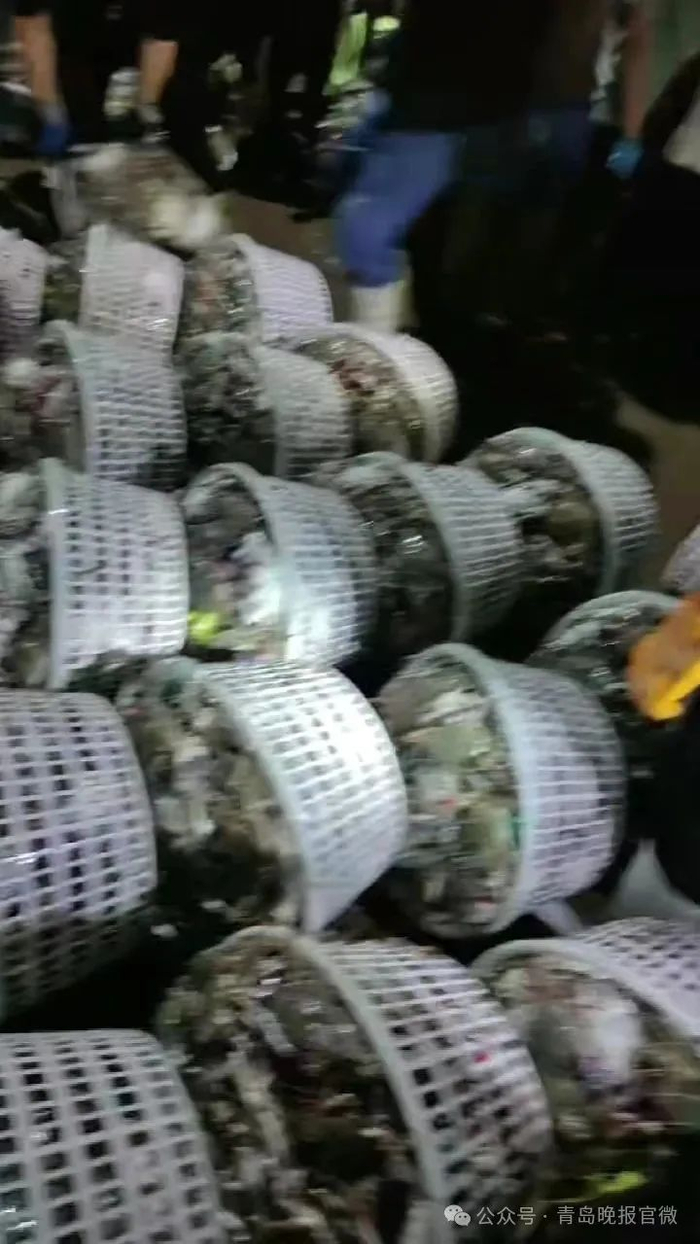 7日凌晨，第一波7万斤梭子蟹迅速售罄。