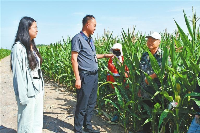 张掖市甘州区沙井镇纪委工作人员在东沟村田间地头与群众交流。张掖市甘州区纪委监委供图