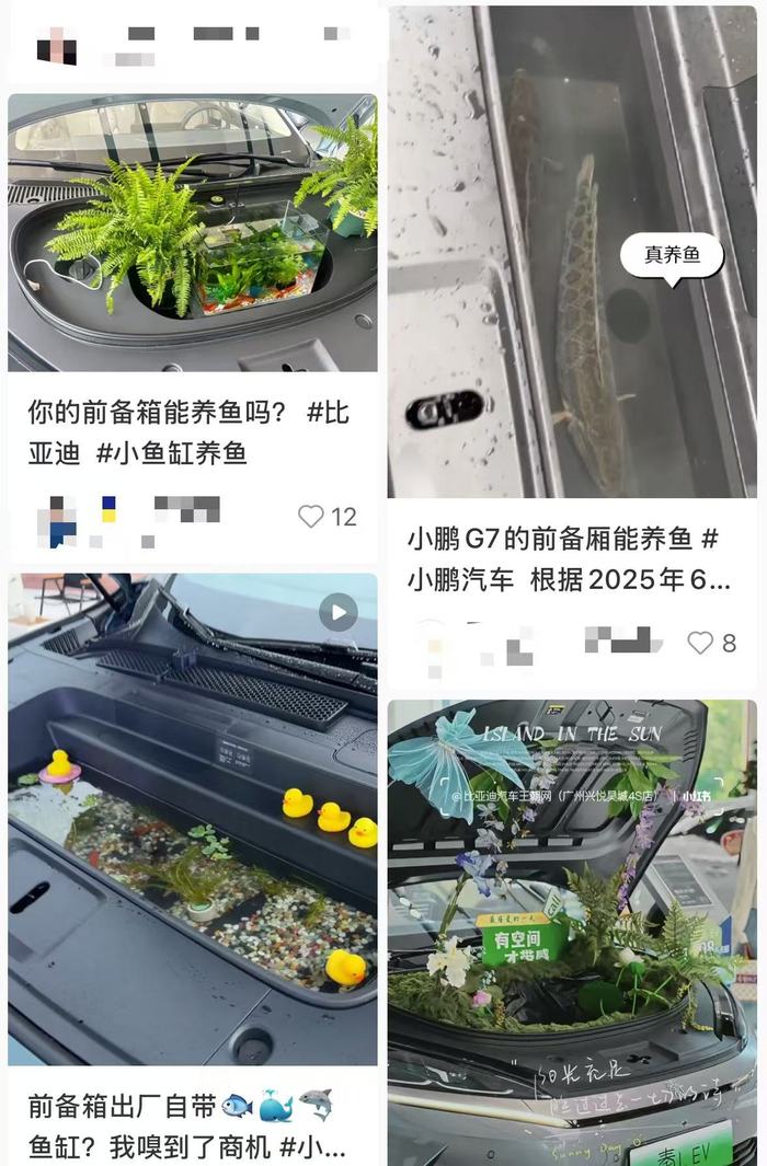 截图自小红书