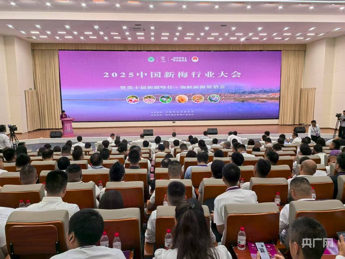 2025中国新梅行业大会现场  （央广网记者丁安  摄）