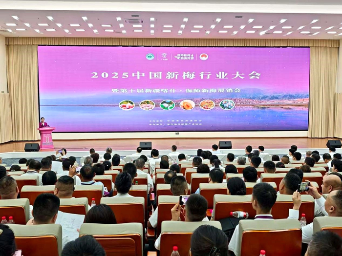 图为大会现场。赵雨欣摄
