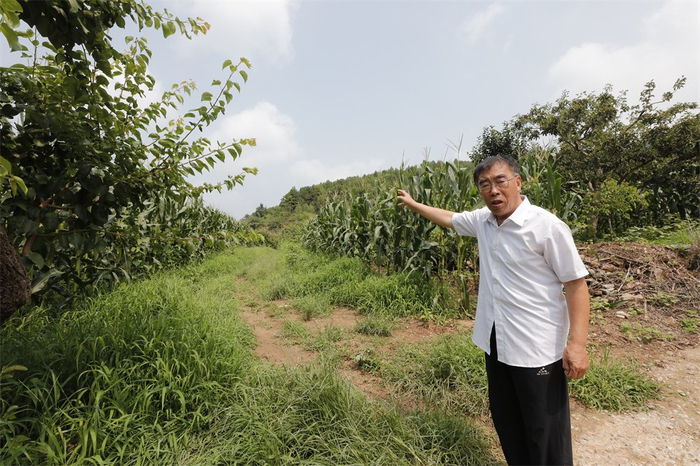 　　李自亚介绍，当年母亲刘秀英就是从这条路给伤员送饭回村后，发现敌情，开始敲盆报警。记者 师源摄
