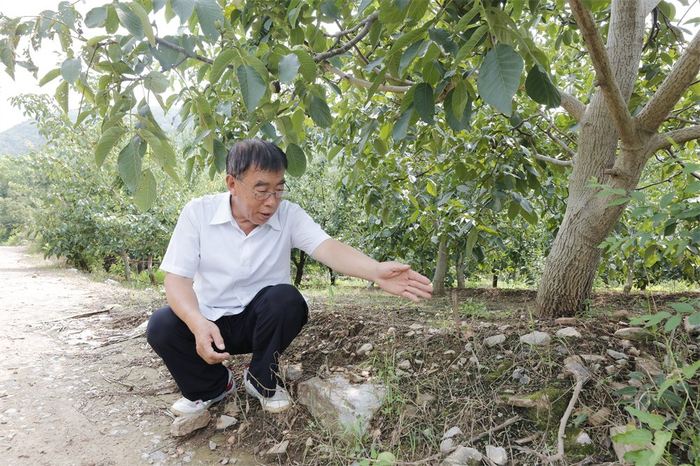 　　李自亚看着曾经自家院墙石，讲述当年故事。记者 师源摄
