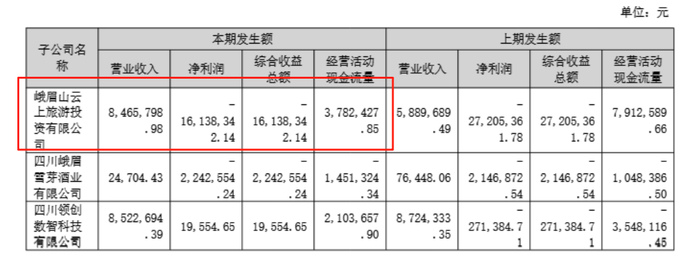 图片来源：峨眉山A2025年中期报告