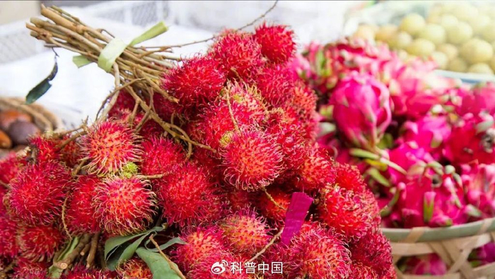 图库版权图片，转载使用可能引发版权纠纷
