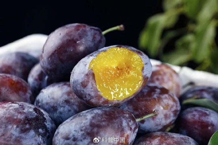 图库版权图片，转载使用可能引发版权纠纷