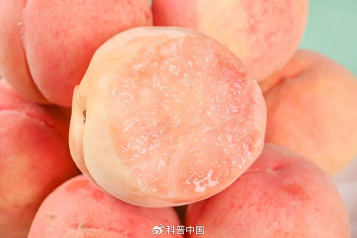 图库版权图片，转载使用可能引发版权纠纷