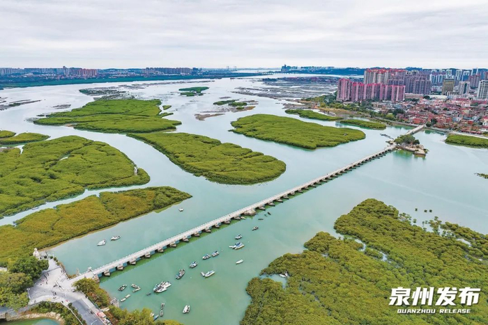 洛阳桥