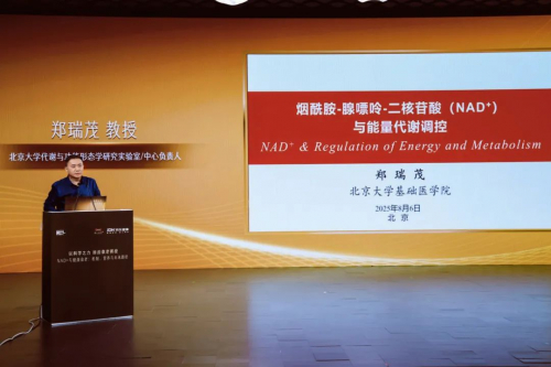 北京大学代谢与功能形态学研究实验室/中心负责人 郑瑞茂