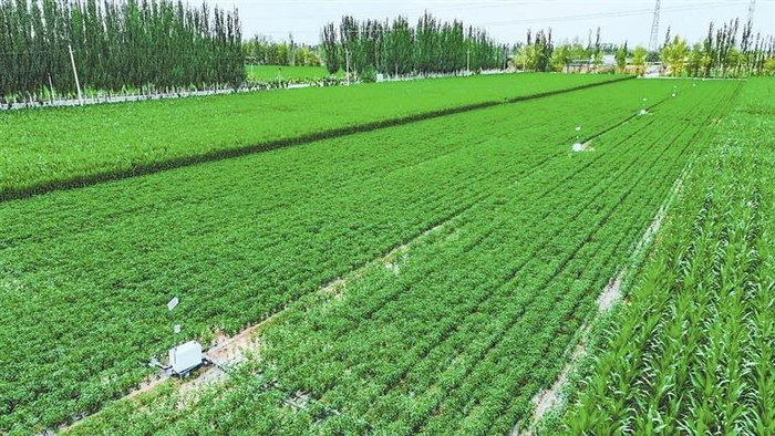     我省水肥一体化技术运用于农业生产。省耕地质量保护管理总站供图