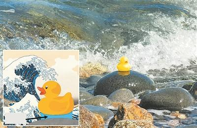 水凝胶能将一只橡皮鸭黏在海边岩石上，在海浪击打下仍保持黏性并抵御潮水冲击。图片来源：日本北海道大学/《自然》网站