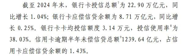 2024年支付体系运行总体情况