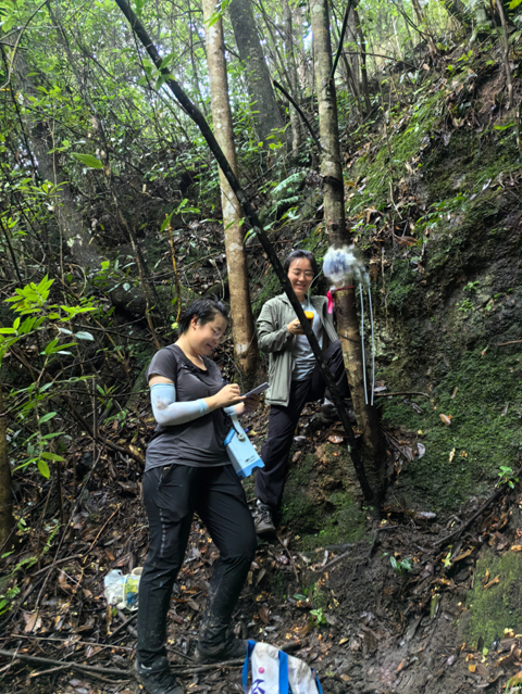 王焓（右）与张瀚在福建龙岩亚热带山区的常绿阔叶林测量和记录树干的呼吸速率。受访者供图