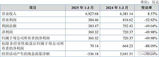 合并利润表及现金流量表主要数据，图片来源招股书