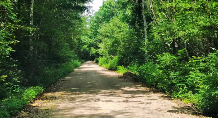 进山小路