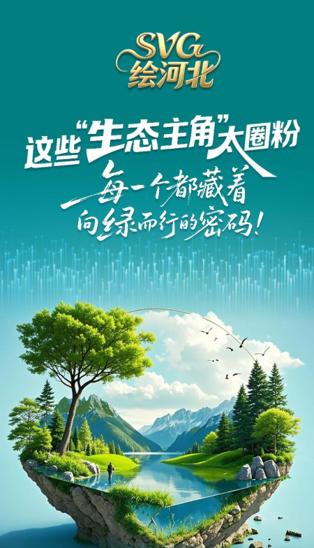 编辑：呼乐乐