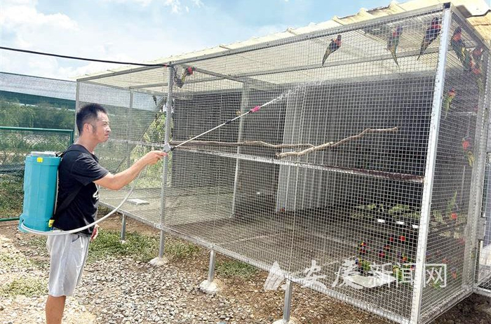　　袁强在给鹦鹉洗澡。全媒体记者 查灿华 摄