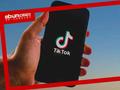 TikTok Shop美区7月榜单：健康品类领跑 达人带货黑马涌现
