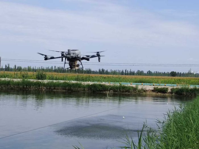 库勒特克其村特色水产养殖基地内，无人机正在播撒饲料。刘沛恺摄