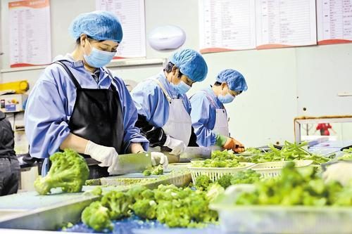     近日，河北农速源冷链物流有限公司净菜加工车间，工人们在切配新鲜的蔬菜。本报记者 焦 磊摄