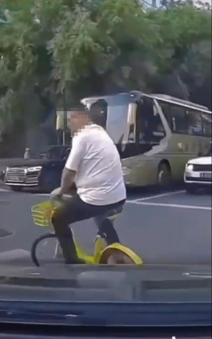 路人骑车过斑马线