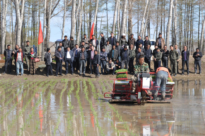 当年的插秧机作业展示