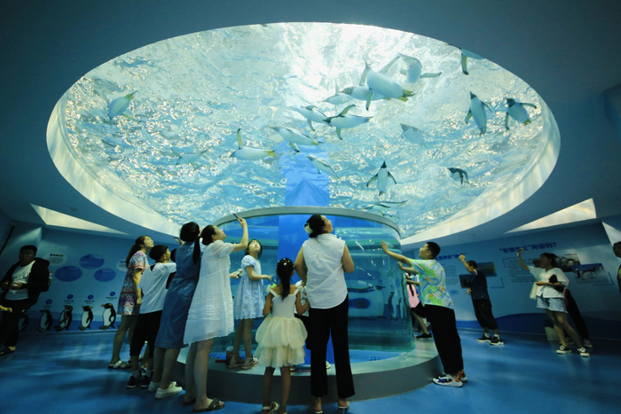 极地公园景区内游客在“水晶大碗”下观察企鹅