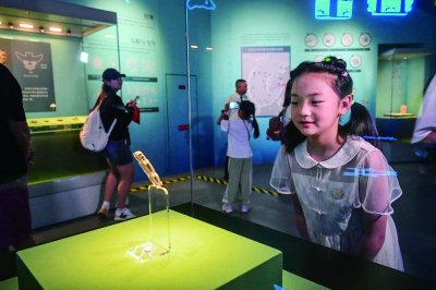 观众在参观。南京日报/紫金山新闻记者 董家训 摄