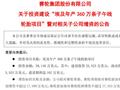 A股头部轮胎企业再添海外重大投资！赛轮轮胎拟斥资逾20亿元在埃及建厂，年产360万条子午轮胎