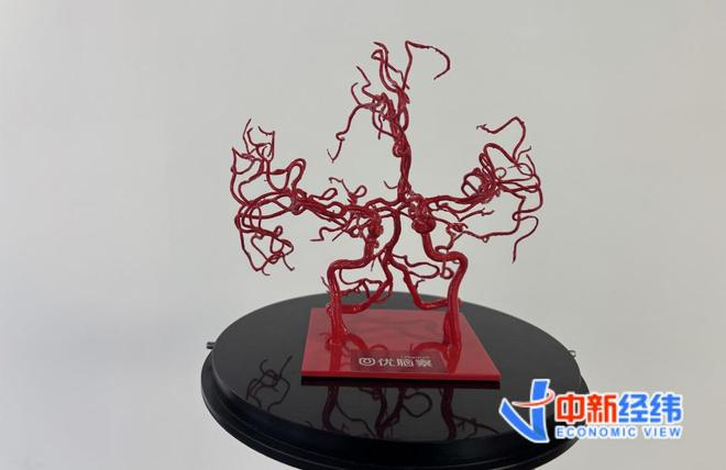 　　3D全脑血管模型 中新经纬王玉玲摄