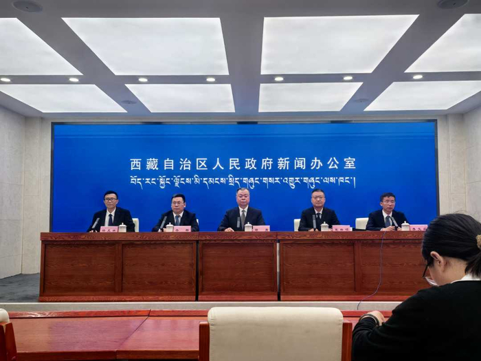 发布会现场。代玲摄