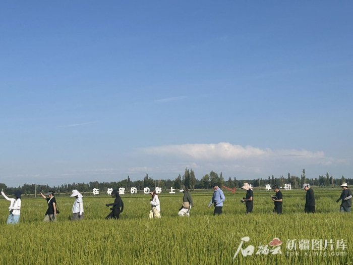 　　8月8日，游客走在稻光谣景区里。石榴云/新疆日报记者 宋卫国摄