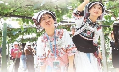 游客在水晶葡萄园打卡拍照。（三都融媒体中心供图）