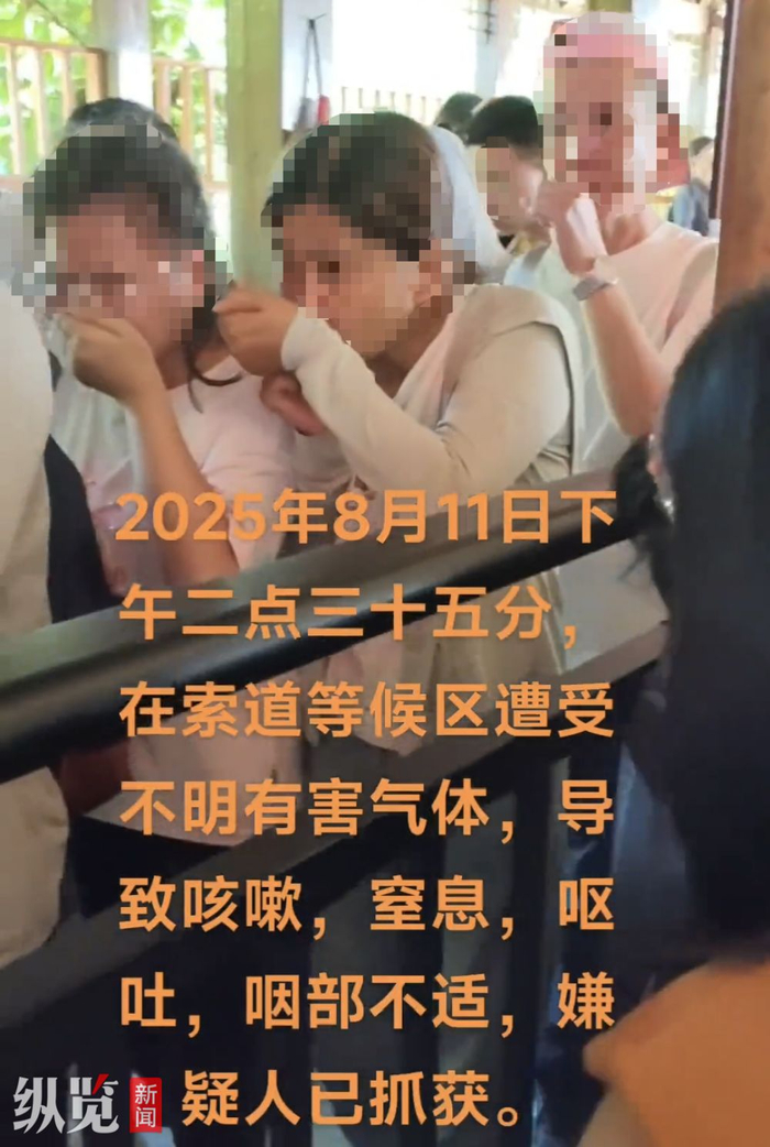事发现场，有多名游客捂住口鼻。（来源/视频截图）