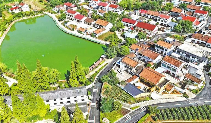 8月6日，汉台区宗营镇杨家山村绿意盎然。 受访者供图