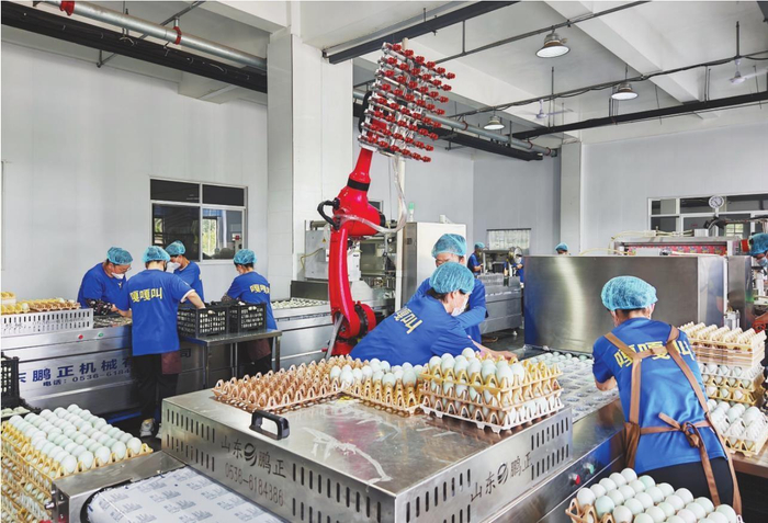 鑫金公司的自动化生产线正在全力生产。