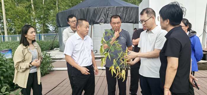 专家们为生病的大豆“会诊”