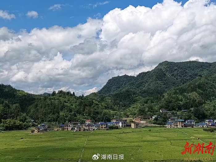 稻田环绕的甘溪村