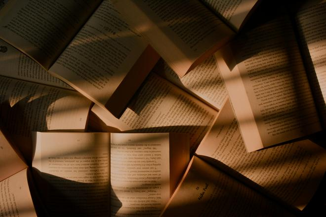 图源：Unsplash