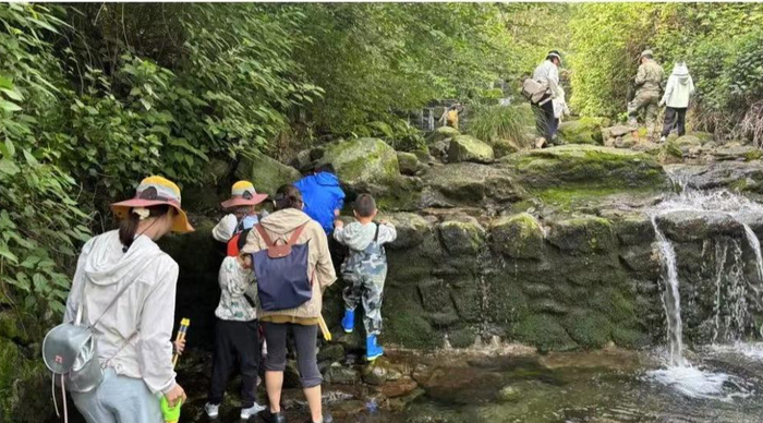 8歲自閉癥男童走失遇難背后：那些把孩子送進獨立營“自然療愈”的家長們