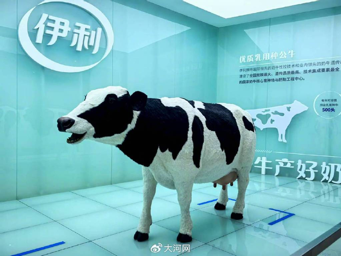 奶牛模型吸引了参观者的眼球。