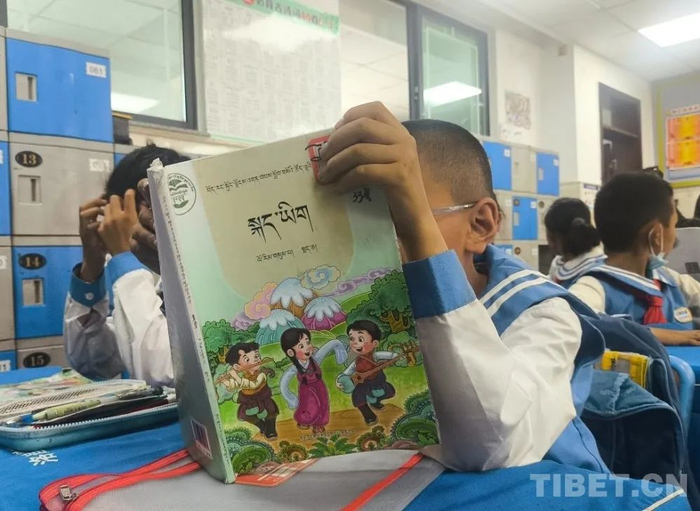 图为拉萨市第一小学三年级三班正在上藏语文课　摄影：赵钊