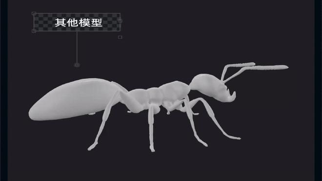 △Hitem3D生成的蚂蚁模型效果与其他模型的对比。图源：数美万物