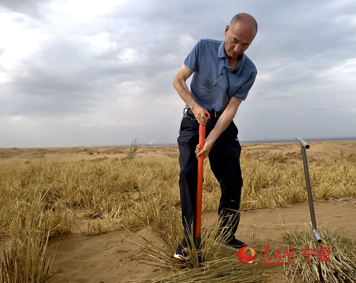 唐希明向记者演示如何扎麦草方格。人民网记者 梁宏鑫摄