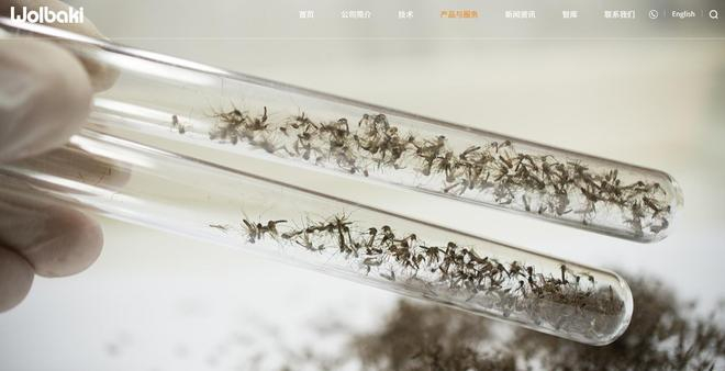 图片来源：广州威佰昆生物科技有限公司官网截图