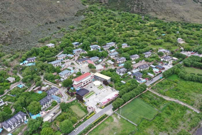 图为林芝市巴宜区林芝镇嘎拉村航拍图。记者 谢筱纯 摄